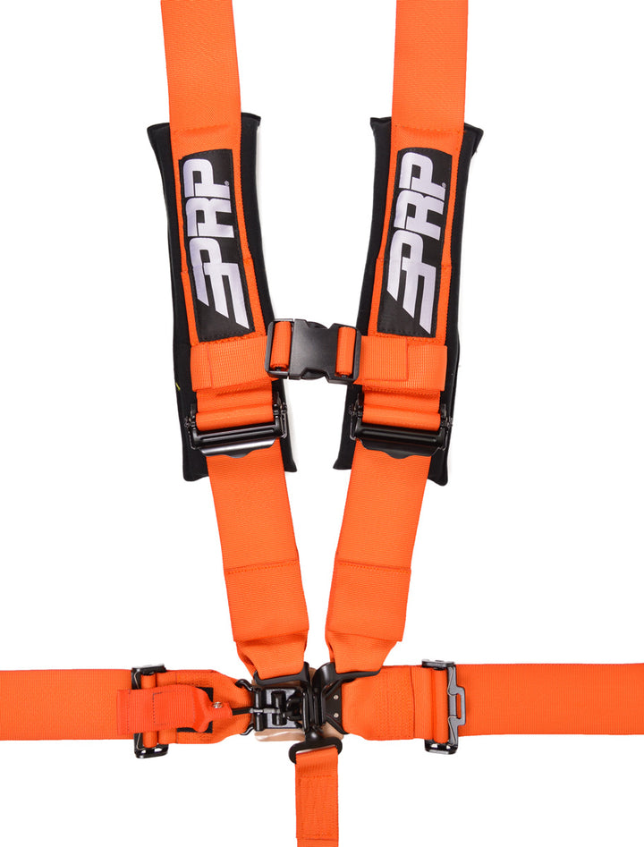 PRP 5.3 Harness  (SFI 16.1)