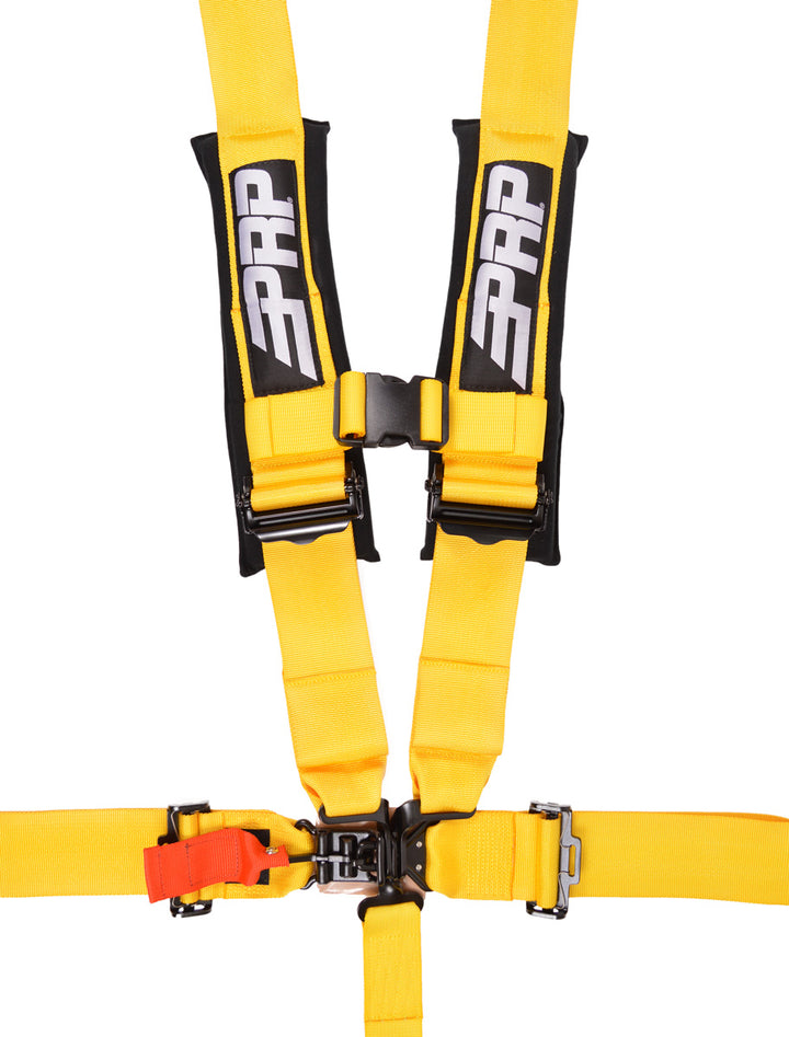 PRP 5.3 Harness  (SFI 16.1)